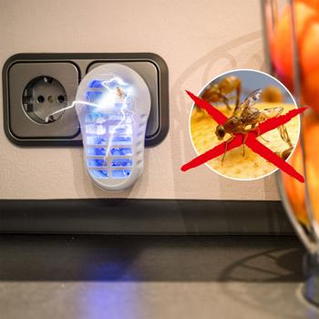Preview: Piège électrique à mouches des fruits avec UV à prise – destructeur de mouches des fruits efficace, lampe anti‑insectes pour la cuisine et les pièces intérieures – sans insecticide