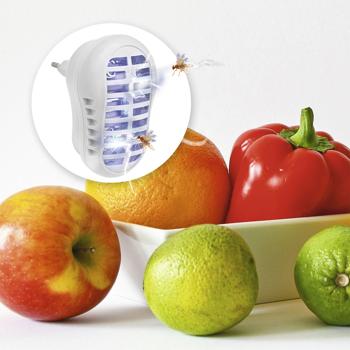 Preview: Piège électrique à mouches des fruits avec UV à prise – destructeur de mouches des fruits efficace, lampe anti‑insectes pour la cuisine et les pièces intérieures – sans insecticide