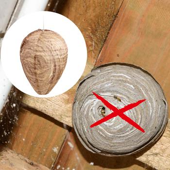 Preview: Wasp nest decoy set of 2 made of robust polyester – natural wasp control without chemicals for porch roof, terrace, carport and pergola – wasp deterrent