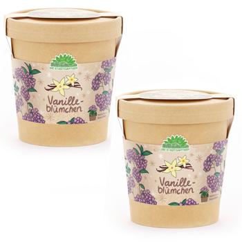 2er-Set Vanilleblume Anzuchtset im Becher – Pflanzset mit Duft-Saatgut, Quelltablette & Anleitung – Nachhaltige Geschenkidee zu Weihnachten