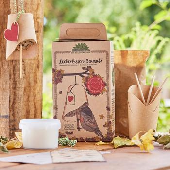 Leckerbissen Wildtierwelt kit – DIY set with 3 feeder bells for children – winter feeding stations for wild birds with coconut fat