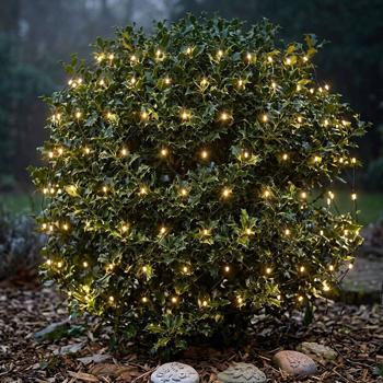 Preview: Rete luminosa LED 3 x 1,5 m 320 LED bianco caldo – catena luminosa a rete per cespugli, arbusti e finestre, interno & esterno IP44, timer, 7 effetti luminosi