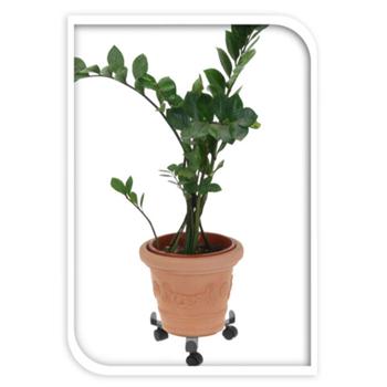 Preview: Carrello per piante regolabile su tre ruote, in metallo, fino a 50 kg