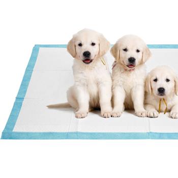 Preview: Tappetini per cani (100 pezzi): tappetini per cuccioli a 5 strati, extra assorbenti, a prova di perdite, 60 x 60 cm - assorbenti e igienici