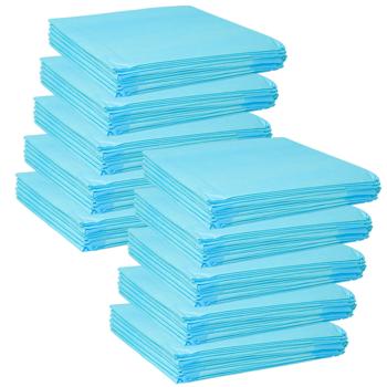 Preview: XXL-Packung Trainingspads für Hunde (200 Stück): 5-lagige, extra saugfähige Welpenunterlagen, auslaufsicher, 60x90 cm - saugstark u. hygienisch