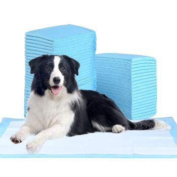 Preview: XXL-Spar Pack assorbenti da addestramento per cani (600 pezzi): assorbenti per cuccioli a 5 strati, extra assorbenti, a prova di perdite, 60x90 cm - altamente assorbenti ed igienici