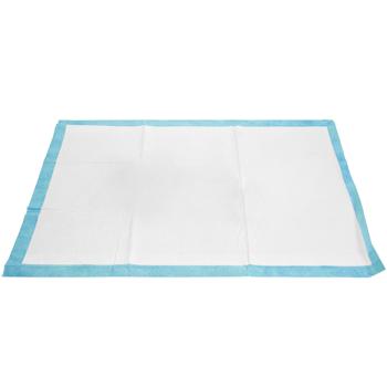 Preview: Traversine per cani (600 pezzi): traversine per cuccioli a 5 strati, extra assorbenti, anti-perdite, 60x60 cm - assorbenti & igieniche