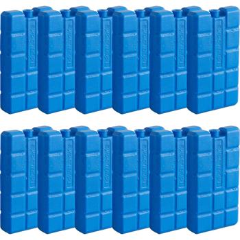 Cooling elements set of 12 – 200 g cooling packs for cooler bag & cool box – Small ice packs for on the go, camping & picnics – Blue, long-lasting cooling