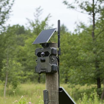Solar-Wildkamera 4G-LTE mit IR-Nachtsicht – FullHD-Überwachungskamera mit PIR-Bewegungsmelder & App-Zugriff, IP66