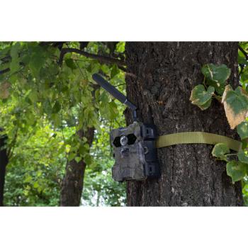 Preview: Telecamera per la caccia e la fauna selvatica con pannello solare, 4G-LTE, FullHD, 4MP, batteria ricaricabile, APP, visione notturna IR, rilevatore di movimento PIR, IP66