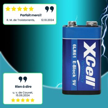 Preview: Pile 9V 6LR61 Alkaline Performance - Longue durée de vie, tension stable, ne fuit pas - Idéale télécommandes, jouets, détecteurs de fumée, radios