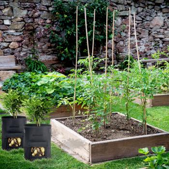 Preview: Sacs de culture XL, lot de 4, avec poignées et trappe, 38 litres, perméables à l’eau, sacs de toile pour pommes de terre, oignons, carottes et plus