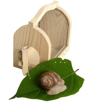 Preview: Insektenkasten Holz-Draht Naturbox für Kinder zum Sammeln & Beobachten - Pädagogisches Kinderspielzeug mit Holzgriff - 11x7,5x10 cm - Umweltfreundlich