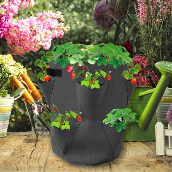 Preview: Sacs de Culture Fraises - Set 4 Pièces, 43L, Ø35x45cm - Feutre Respirant, Poignées Robustes - Idéal Balcon & Terrasse - Anthracite