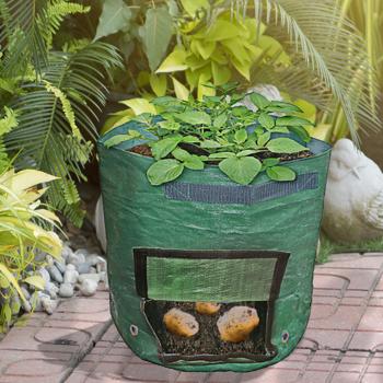 Preview: 43L planting bag with harvest window, Ø 35x45cm, carrying handles, 7 drainage holes, reusable, ideal for vegetables & plants