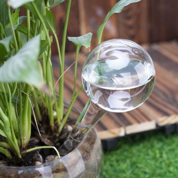 Preview: 4 Boules d’Arrosage en Verre - Irrigation Automatique 7 Jours pour Plantes - Globes Transparents Ø 6xH 15cm - Intérieur, Vacances, Bureau Preview: 4 Boules d’Arrosage en Verre - Irrigation Automatique 7 Jours pour Plantes - Globes Transparents Ø 6xH 15cm - Intérieur, Vacances, Bureau