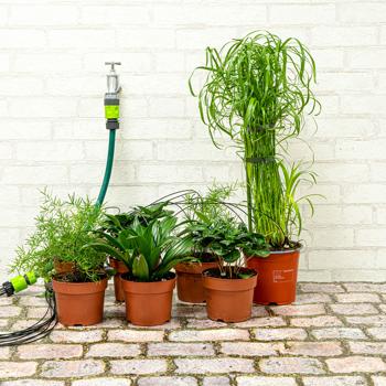 Preview: set of 2 drip irrigation sets with 10 nozzles, 1.55m