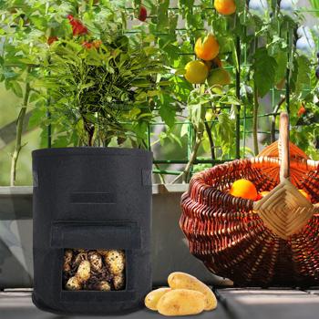 Preview: Lot de 5 sacs de culture, 10 L, en feutre – respirants, avec trappe et poignées – pour légumes, fraises et plus – légers et robustes