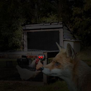 Preview: 2-piece wildlife deterrent set against wild animals with blinking LEDs at night, solar-powered