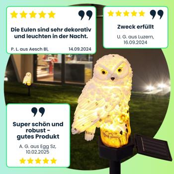Preview: Originelle LED Solar Eule, 2er-Set, wetterfest und witterungsbeständig, Solar Gartenleuchte mit Dämmerungssensor, effektvolle Lichtquelle für Garten und Balkon