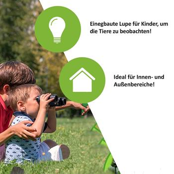 Preview: Insektenfänger XL – schonende Lebendfalle für Spinnen & Käfer (7x9 cm) – tierfreundlich, hygienisch & einfach zu bedienen – ideal für Haus & Garten