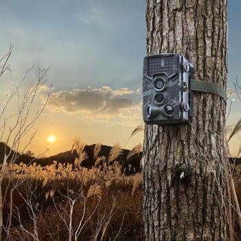Preview: Telecamera per animali selvatici Full HD da 24 MP con 3 sensori di movimento - visione notturna, scatto continuo e funzione time-lapse, display a colori, resistente alle intemperie, ideale per l'osservazione degli animali selvatici