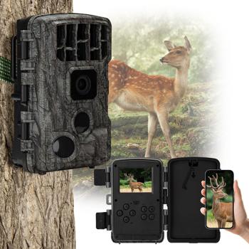 4K UHD wildlife camera, night vision, WiFi, PIR, standby 8 months, app, IP65