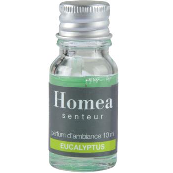 Preview: Olio di fragranza all‘eucalipto, profumo per ambienti, 10ml