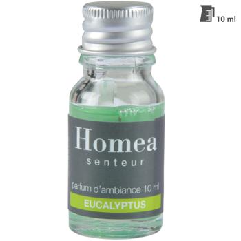 Preview: Olio di fragranza all‘eucalipto, profumo per ambienti, 10ml