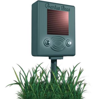Preview: set of 3 bird deterrents with ultrasound and flash, solar-powered, up to 150 m²