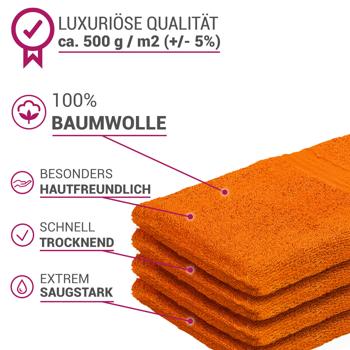 Preview: 4er-Set Waschhandschuhe 100% Baumwolle - Terra Waschlappen mit Schlaufe - flauschig, saugstark, 60°C waschbar - 21x16cm, 500g/m²