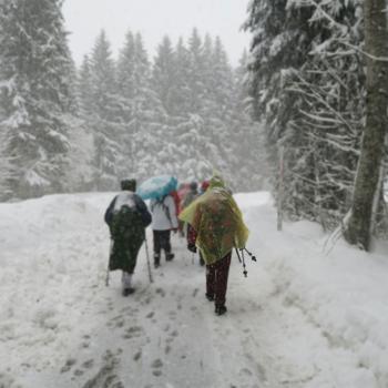 Preview: set di 4 poncho di emergenza per la pioggia con cappuccio e maniche, giallo, circa.