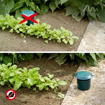 Preview: 2er-Set Bio-Schneckenfallen, umweltfreundlich, befüllbar mit Bier/Zuckerwasser, effektive Schneckenbekämpfung, nachhaltiger Schutz