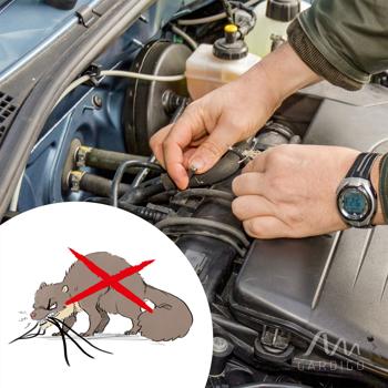 Preview: Griglia di protezione Marten per auto, tagliabile a misura, 195 x 150 cm