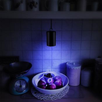 Preview: UV insect sticky trap, battery-operated