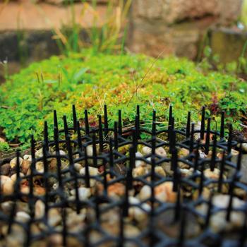 Preview: Thorn grid with scented bowls, 6 pieces, 50 x 15 x 3 cm