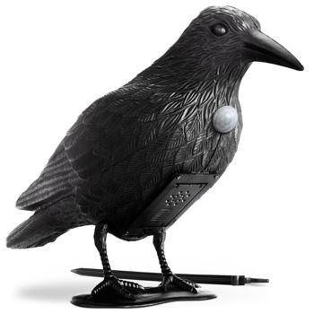 Preview: Realistic bird repellent crow with sound: Battery-operated raven bird deterrent for effective bird repelling. Natural crow sounds for deterrence