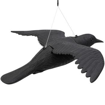 Preview: Falco da difesa, 59 cm di apertura alare