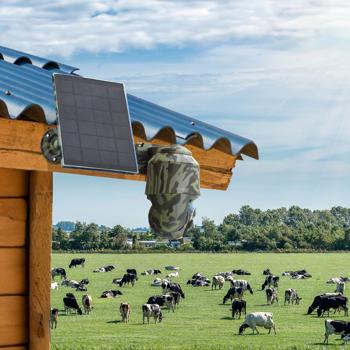 Preview: Caméra de surveillance 4G PanTilt Dome - Panneau solaire, alarme, vision nocturne couleur, détection PIR, audio 2-voies - Full HD, IP65