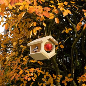 Preview: Casetta per uccelli in legno di abete rosso sostenibile: angolata, con picchetto in acciaio inox. Casetta pensile per uccelli realizzata in una struttura sociale - Punto di incontro naturale per gli uccelli