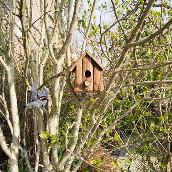 Preview: set of 2 nesting boxes and birdhouse with perch for finches and tits