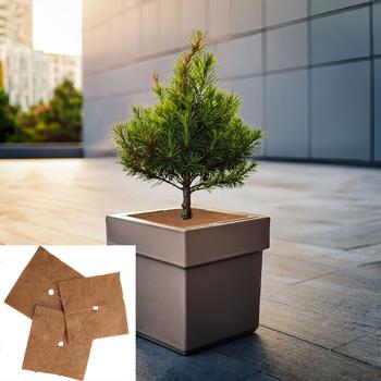 set di 3 tappetini in cocco antigelo per piante in vaso, quadrati, 38 x 38 cm