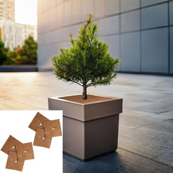 set di 6 tappetini in cocco antigelo per piante in vaso, quadrati, 38 x 38 cm