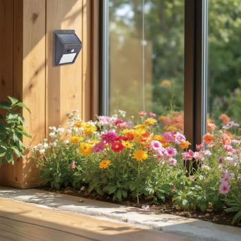 Preview: Compact solar LED wall light with motion detector (20 SMD LEDs): Bright light for safe paths & entrances - Energy-saving & wireless