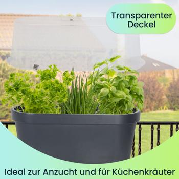 Preview: Robuster Geländer-Blumentopf mit Gewächshaus-Haube, Anthrazit – Ideal für Balkon & Terrasse, Schutz & Wachstum für Kräuter, Gemüse & mehr