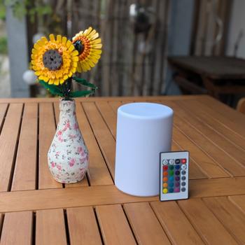 Preview: Lampada da tavolo LED a batteria con controllo del colore e telecomando: funzionamento a batteria, ideale come luce notturna, luce d‘accento o lampada da campeggio