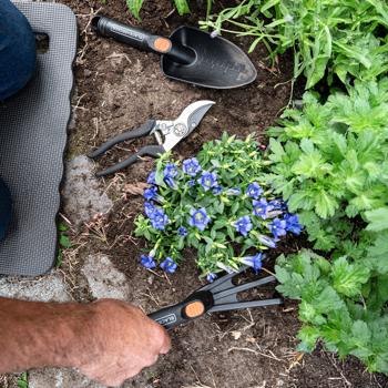 Preview: Set di attrezzi da giardino, 4 pezzi, incl. tappetino, attrezzi da giardino