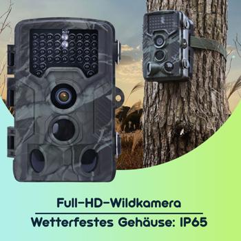 Preview: Full-HD-Wildkamera mit 3 Bewegungssensoren, Serienbild- & Zeitraffer-Funktion & Nachtsicht