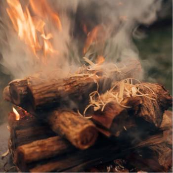 Preview: 3er-Set Firecurls Holz Anzünder - Schnell entflammbar für Grill & Kamin - Kiefernholz, 3x200g - Made in Germany, FSC 100%, DIN EN 1860-3