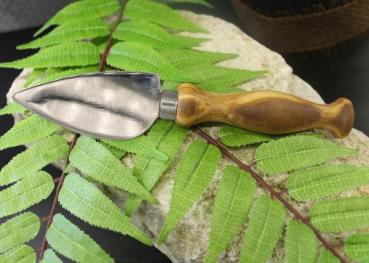 Preview: Couteau à parmesan, manche en bois d’olivier, lame affûtée, 19 x 4 x 3 cm